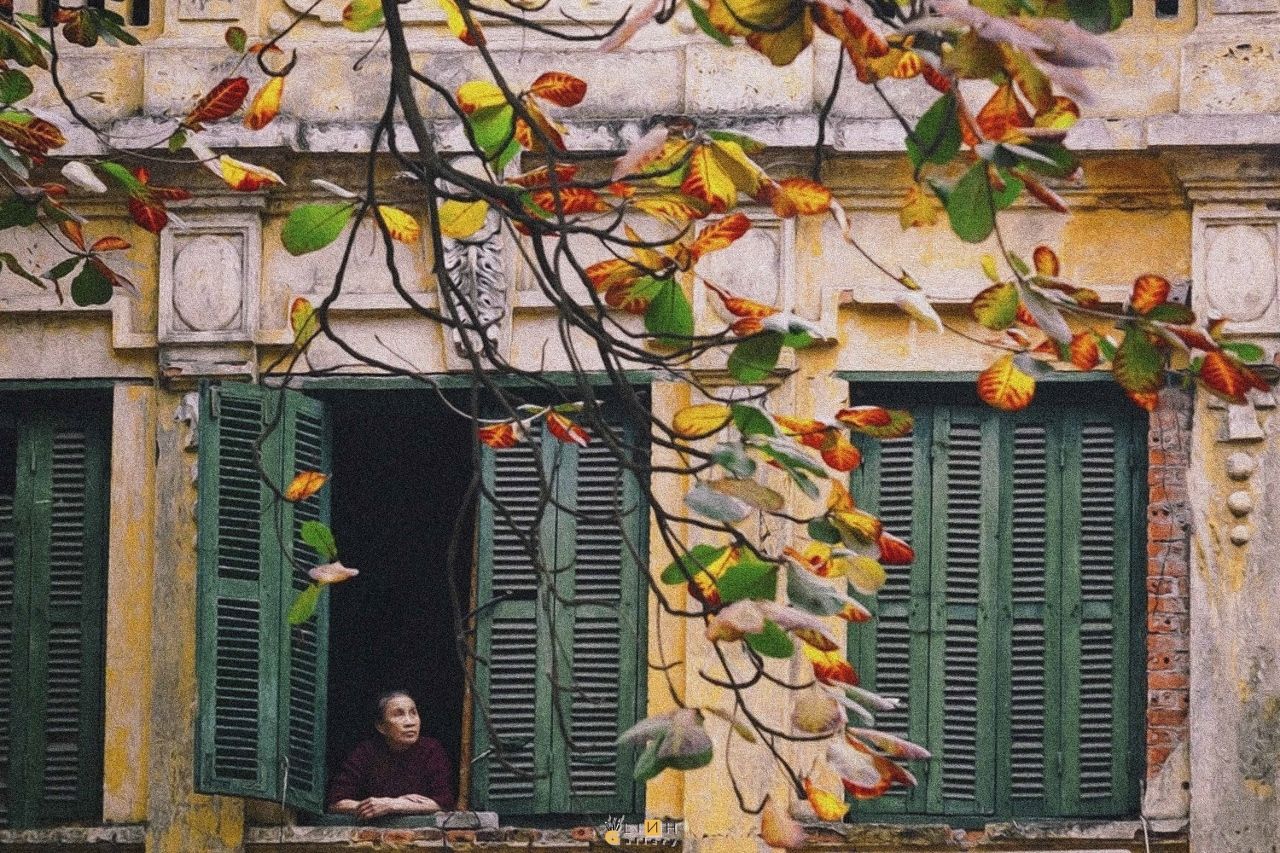 GAM MÀU THU HÀ NỘI TRONG SÁCH CỦA BĂNG SƠN
