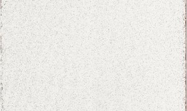 NGỠ NGÀNG NHỮNG BỨC TRANH MÀU TRẮNG GIÁ TRIỆU USD