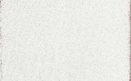 NGỠ NGÀNG NHỮNG BỨC TRANH MÀU TRẮNG GIÁ TRIỆU USD